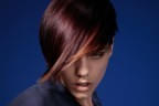 Frisuren Trends Bild 6